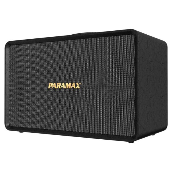 Loa Karaoke Xách Tay Paramax Acton X