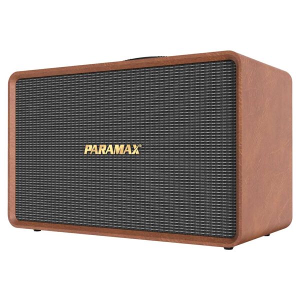 Loa Karaoke Di Động Paramax Sonus R