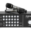Amply Paramax AX-850