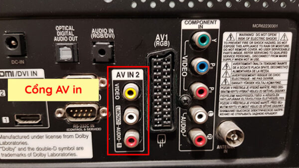 Cổng AV là gì? Ứng dụng cổng AV in, AV out trong âm thanh