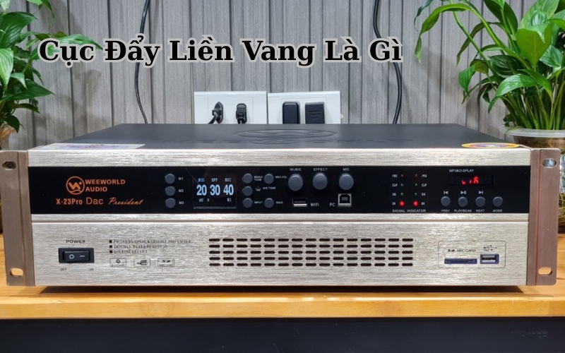 Cục đẩy liền vang là ampli tích hợp vang số