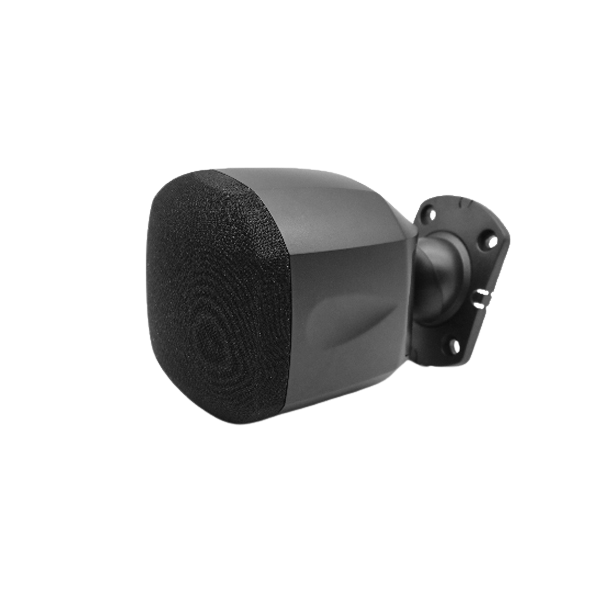 Loa treo tường DSPPA DSP118