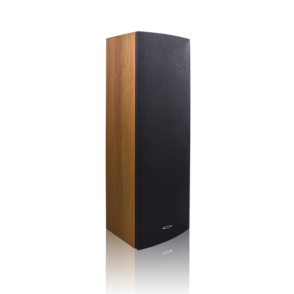 Loa cột DSPPA DSP403II