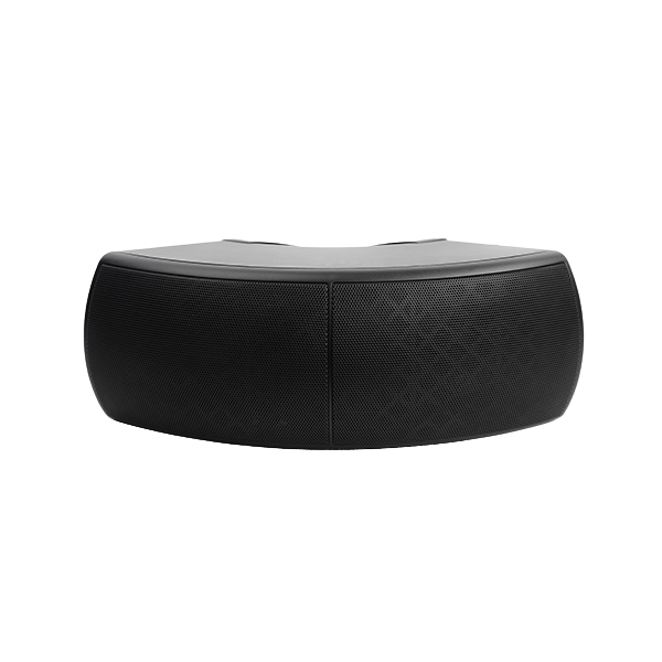 Loa Treo Tường DSPPA DSP218B