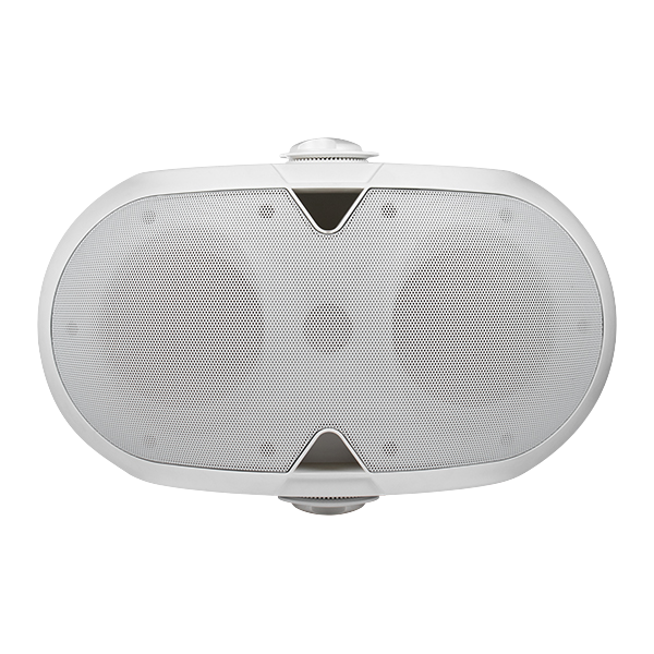 Loa Treo Tường DSPPA DSP220