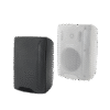Loa Treo Tường DSPPA DSP4030