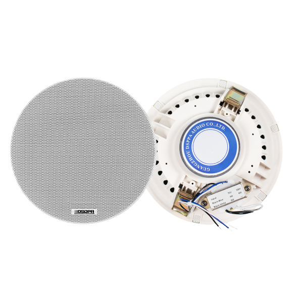 Loa Âm Trần DSPPA DSP5011