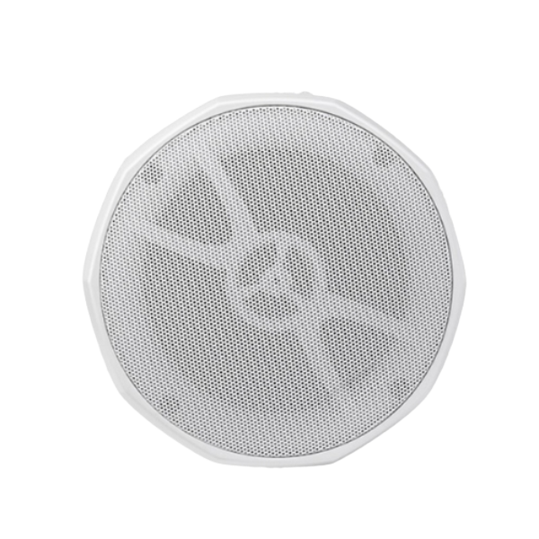 Loa Thả Trần DSPPA DSP5153