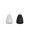 Loa Thả Trần DSPPA DSP5153