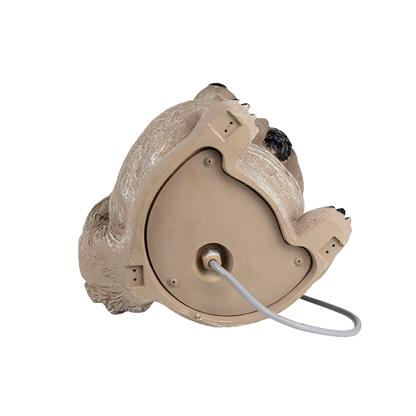 Loa Sân Vườn DSPPA DSP563