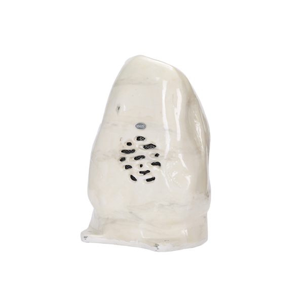 Loa Giả Đá DSPPA DSP641