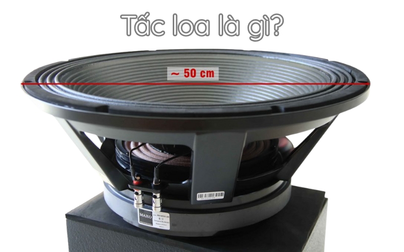 Tấc loa là gì?