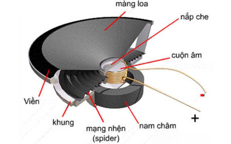 Driver (Củ loa)