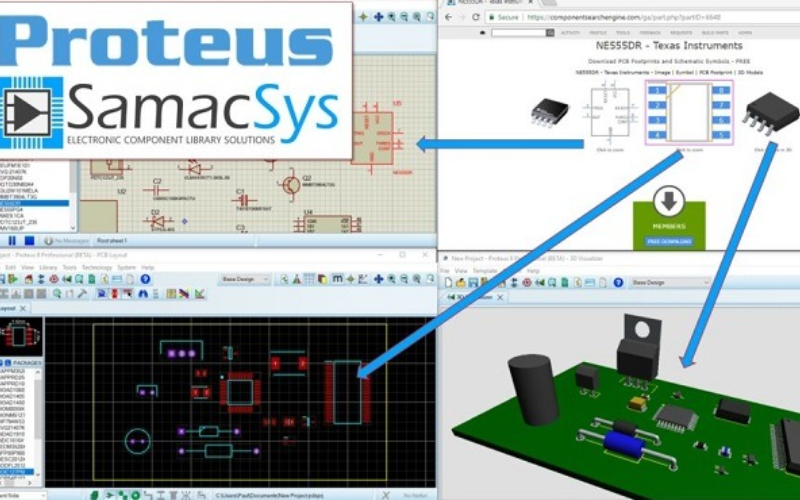 Proteus – Thân thiện và phổ biến tại Việt Nam