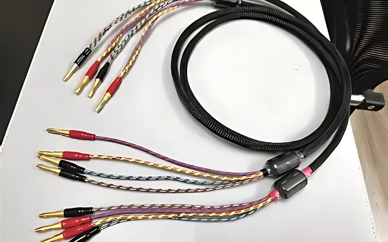 Dây loa bi-wire / tri-wire