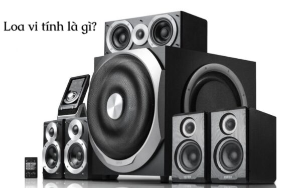 Loa vi tính là gì?