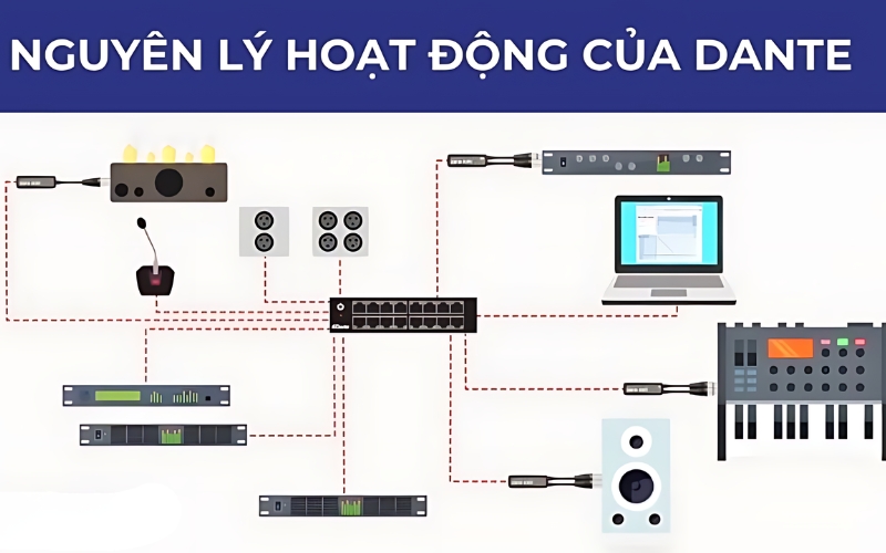 Cách thức hoạt động của Dante