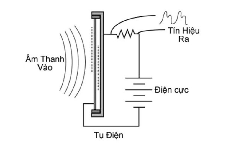 Micro tụ điện (Condenser Micro)