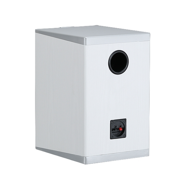 Loa A-Audio K66