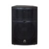Loa Full Peavey SP2P