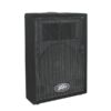 Loa Peavey PVi 10 Loa Peavey PVi 10