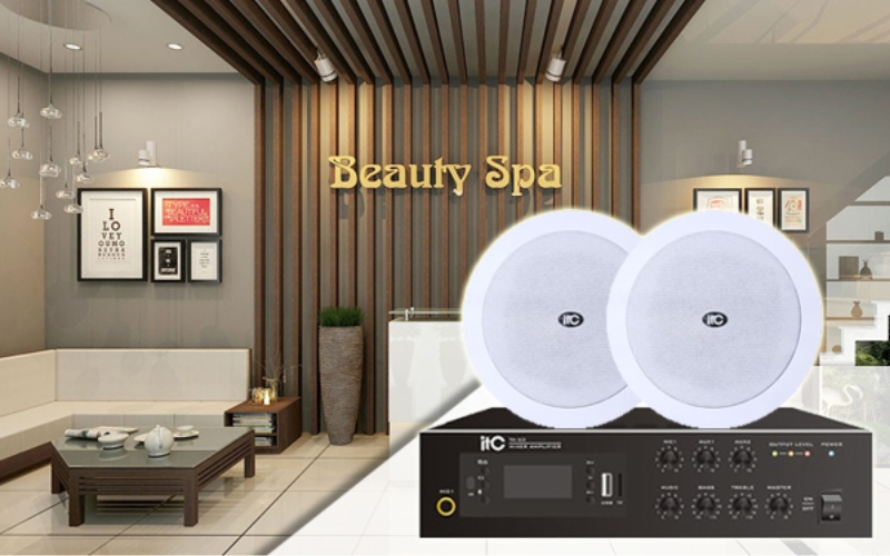 Loa âm trần spa: Không gian thư giãn hoàn hảo Loa âm trần spa
