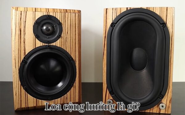 Loa cộng hưởng là gì?
