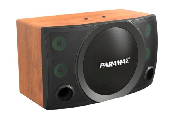 Loa Karaoke Paramax MK-S2000