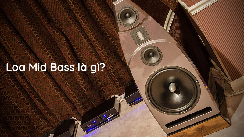 Loa mid bass là gì? Tìm hiểu đặc điểm, công dụng của loa mid bass