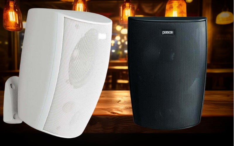 Loa treo tường Paso C94/60-T