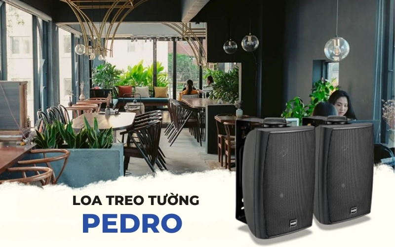 Loa treo tường PEDRO