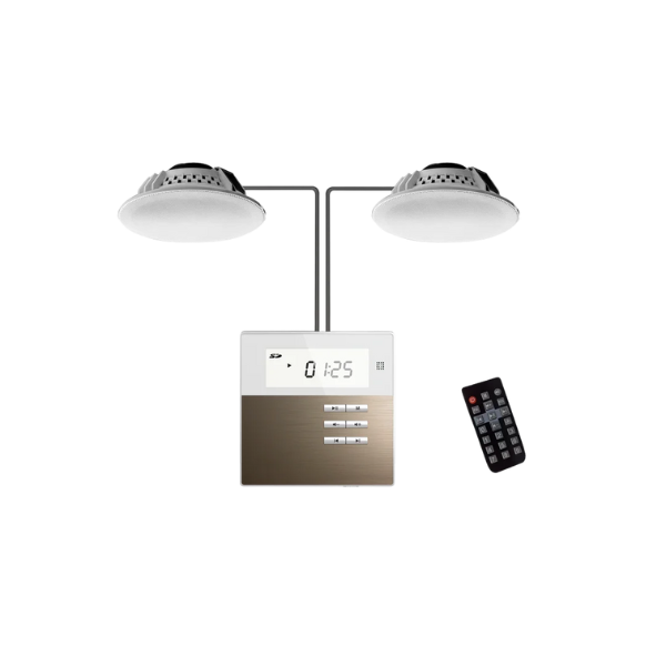 Bộ khuếch đại âm thanh DSPPA M2B