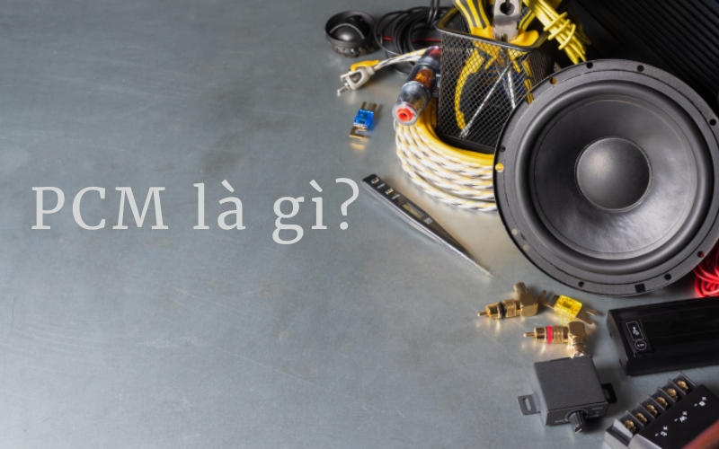 PCM là gì?
