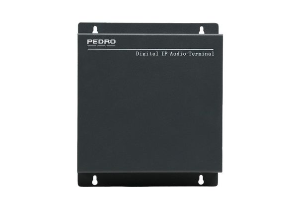 Amply PEDRO AP-M15