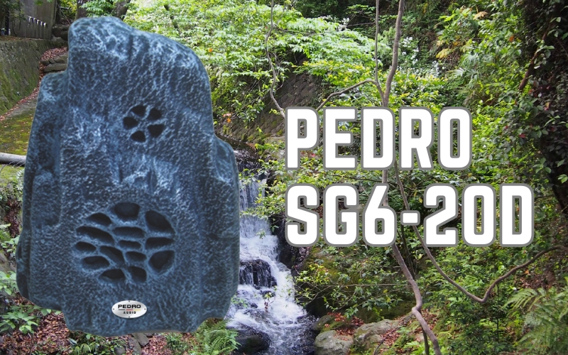 Pedro SG6-20D – Thiết kế mạnh mẽ, âm thanh vang xa