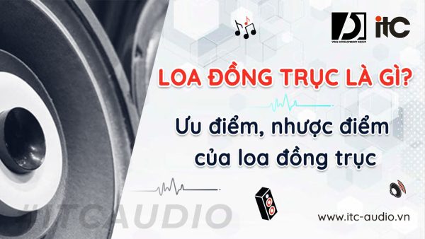 loa-dong-truc-la-gi