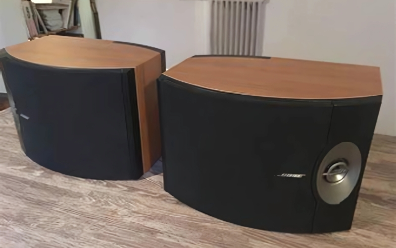 Bose 301 V