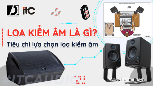 loa-kiem-am-la-gi